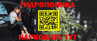 прущие крисы Абакан