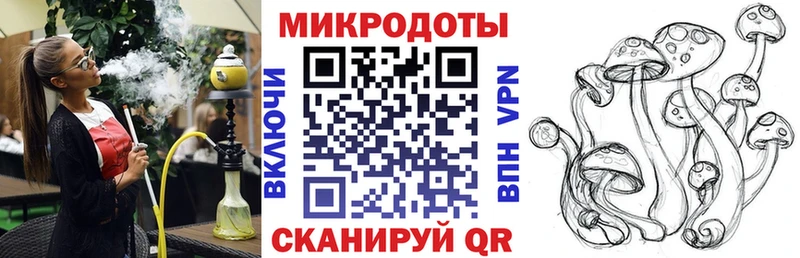Псилоцибиновые грибы Psilocybine cubensis  Благовещенск 