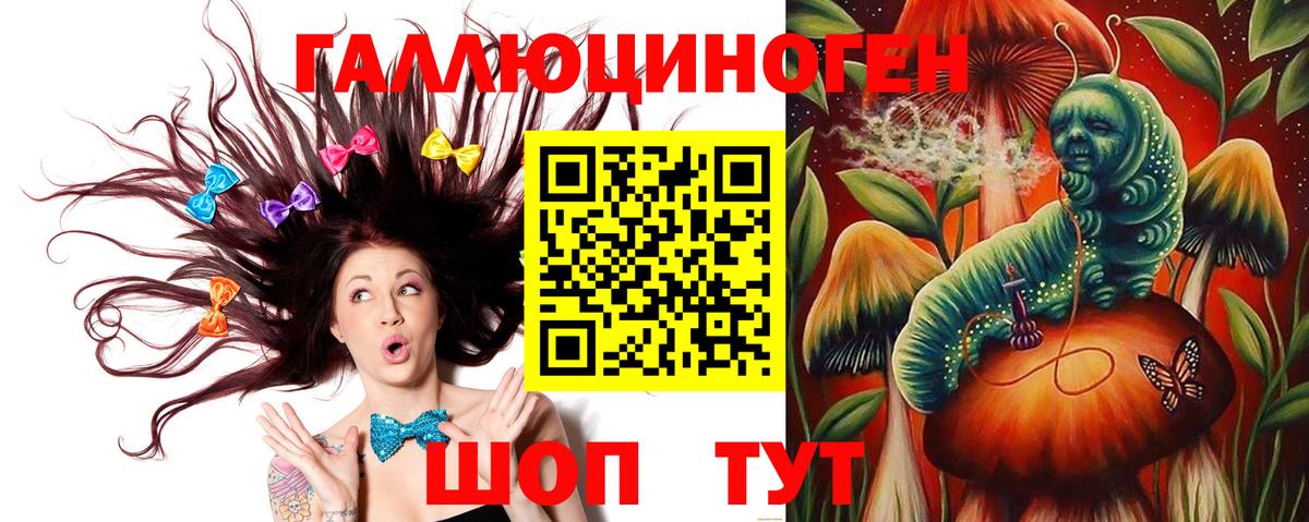 Псилоцибиновые грибы Psilocybe Благовещенск