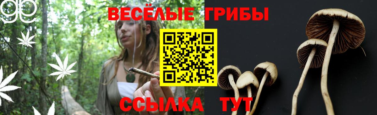 где найти наркотики  Псилоцибиновые грибы Psilocybine cubensis  Вход с VPN  Псилоцибиновые грибы прущие грибы  Благовещенск 
