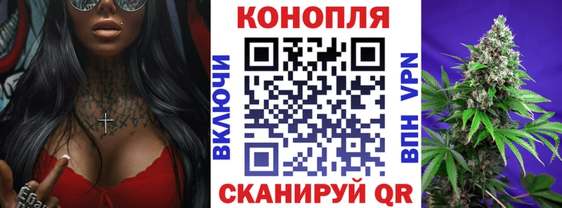 Бошки Шишки план  Благовещенск 